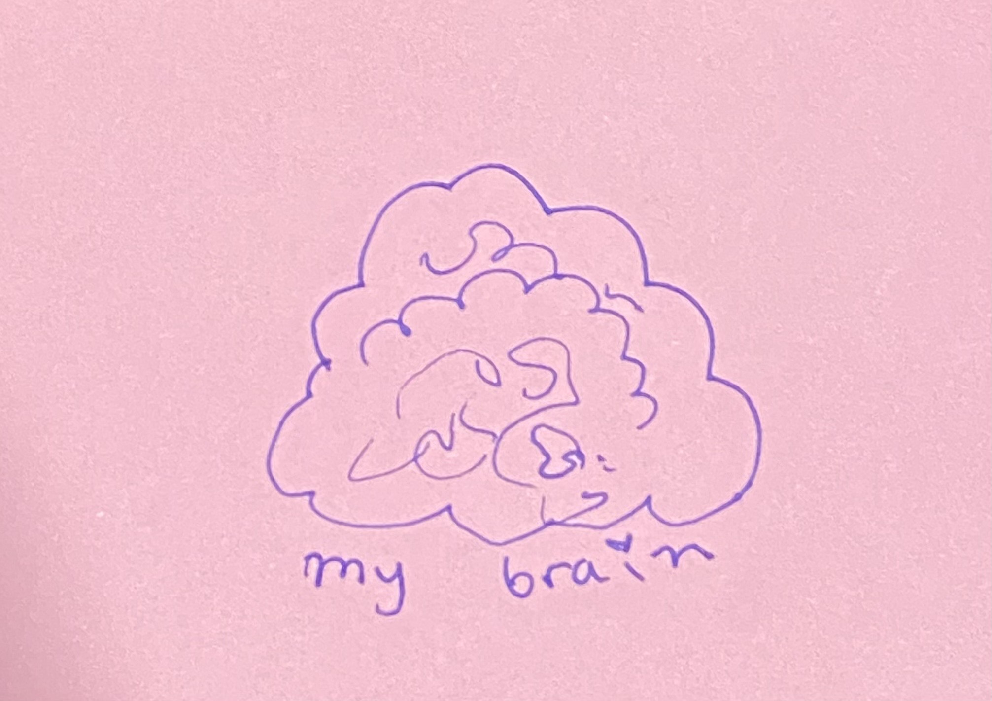 Brain